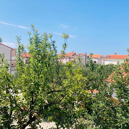 Apartment Mrkic 비오그라드나모루 외부 사진